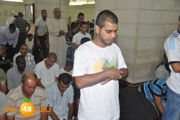 bazsalah lud 712 (37).JPG